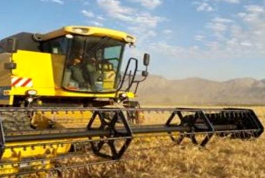 15 میلیارد ریال اعتبار برای دیمزارهای زرین دشت