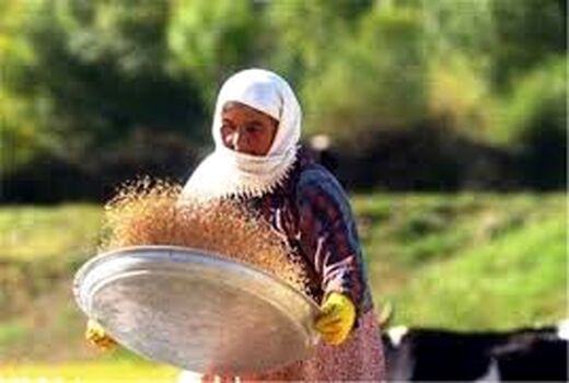 تشکیل 9 صندوق اعتباری خرد زنان روستایی در شهرستان اردبیل