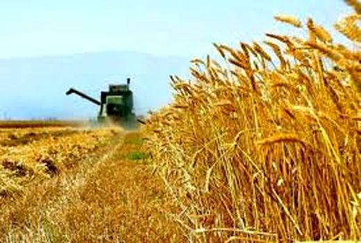 هم افزایی و تعامل بین بخش های مختلف کشاورزی خوزستان