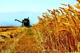 هم افزایی و تعامل بین بخش های مختلف کشاورزی خوزستان