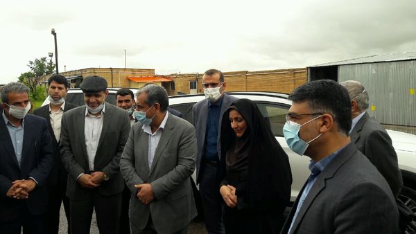 پیش بینی تولید 330 هزار تن گندم در اراضی کشاورزی استان قزوین