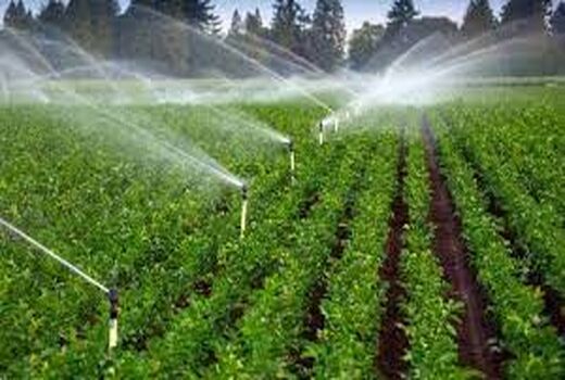 مطالعه توسعه طرح‌های سیستم آبیاری نوین در بیش از 6 هزار هکتار از اراضی خراسان شمالی