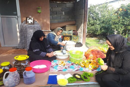 تشکیل ۹صندوق اعتباری خرد زنان روستایی در سال ۹۸

