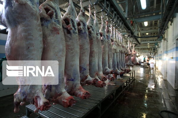 رسیدگی دامپزشکی خراسان شمالی به ۲۷۲ تخلف بهداشتی 