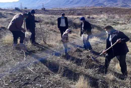 اصلاح باغ های دیم در اراضی شیب دار مرودشت