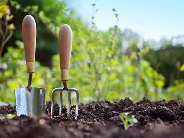 تصویب  طرح نظام صلاحیت حرفه ای کشاورزی 