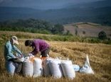 تغییر ریل تعاون روستایی به خرید توافقی؛ هدف‌گذاری ایجاد ۳ هزار روستابازار