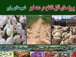 بهره‌برداری از 4 طرح آب و خاک و دامپروری در شهرستان راور 
