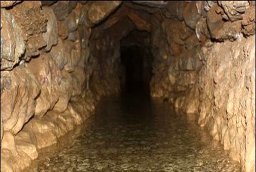 مهاجرت معکوس به روستای قنات قاضی و دهنو  از توابع دهسرد شهرستان ارزوئیه  