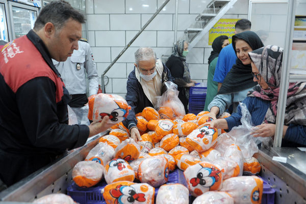  کاهش ۳ درصدی عرضه گوشت طیور در مهرماه ۱۴۰۴