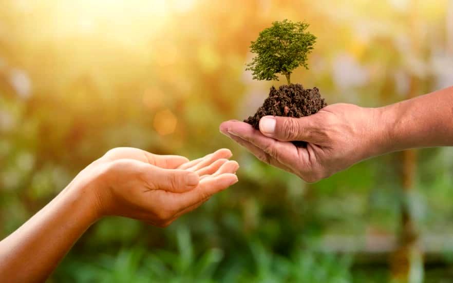 عملکرد یگان حفاظت هدفمند می‌شود/ بلو‌ک‌بندی طبیعت