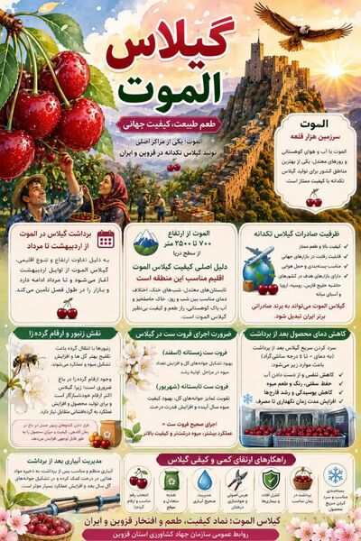  گیلاس الموت ، طعم طبیعت،  کیفیت جهانی 

