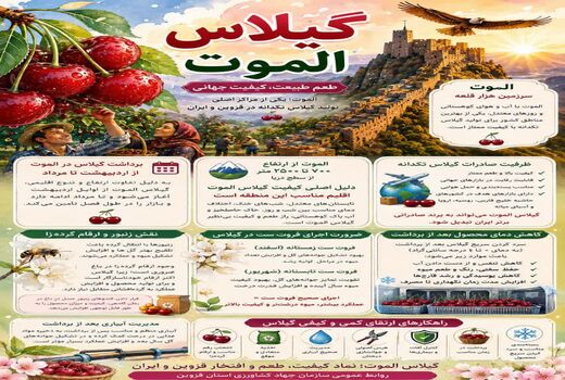  گیلاس الموت ، طعم طبیعت،  کیفیت جهانی 
