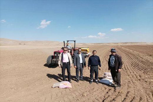 ایجاد سایت الگویی گندم دیم در شهرستان قزوین  در اجرای طرح جهش تولید 