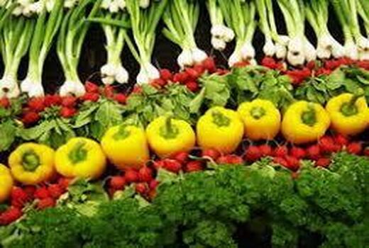 فعالیت 35 گلخانه سبزی و صیفی در بابل/ تولید 162 تنی
