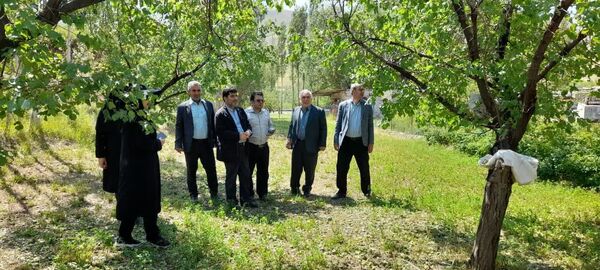 ارزیابی خسارات وارده به بخش کشاورزی تعدادی از شهرستان‌های استان در اثر بارش تگرگ و جاری شدن سیل
