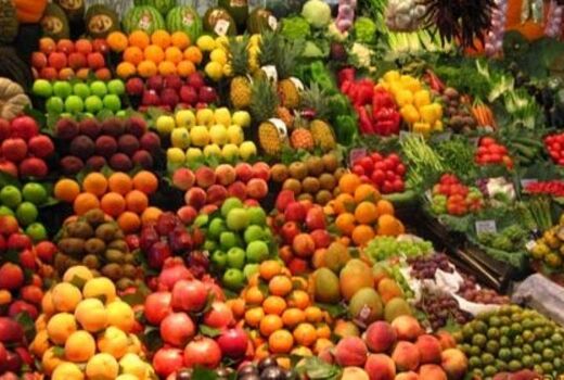 نیاز جدی خراسان شمالی به شرکت مدیریت صادرات در حوزه کشاورزی