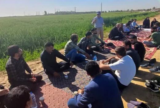  برگزاری طرح انتقال یافته‌های تحقیقاتی با محوریت آبیاری در مزارع رامشیر