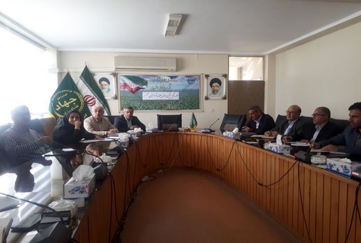 تولید یک میلیون و ۶۵۰ هزار تن چغندر قند در استان 