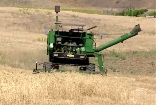 پوشش ۱۱۰ هزار هکتار از اراضی دیم بیجار در طرح جهش تولید دیمزار‌ها
