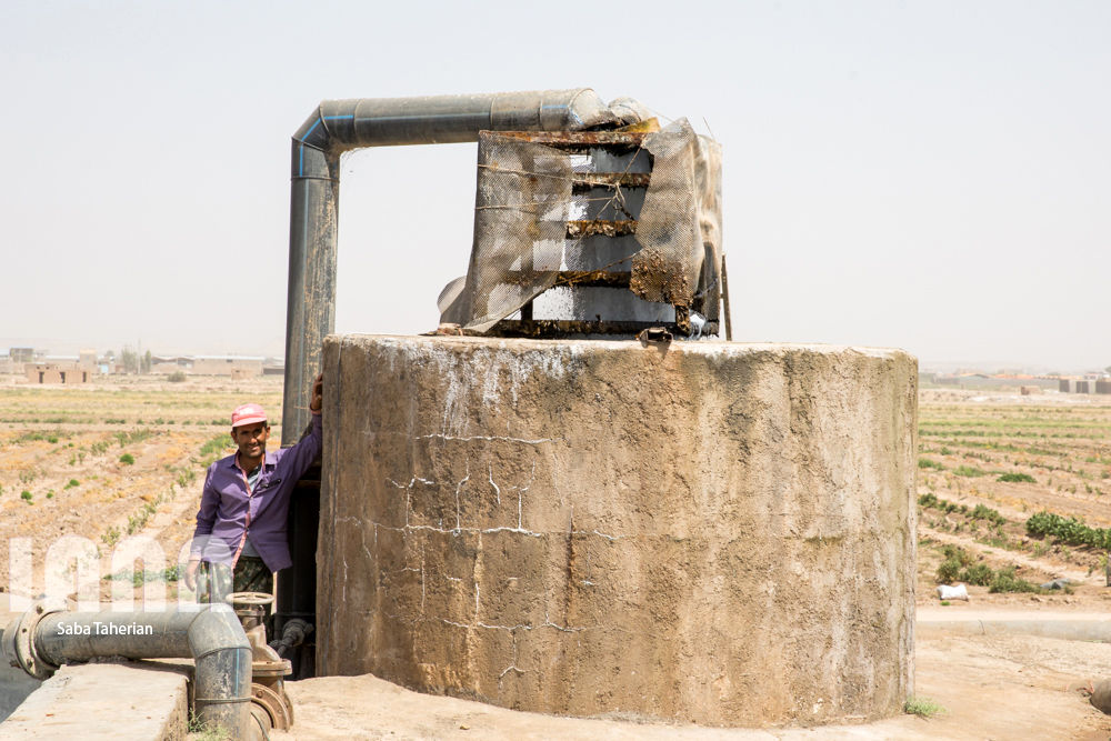 مزرعه ماهی و علوفه