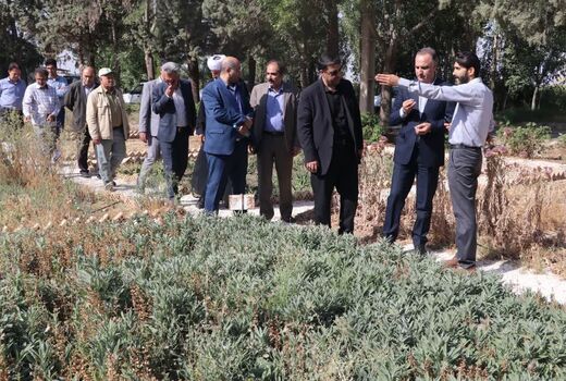 معاون امور زراعت وزارت جهاد کشاورزی از مرکز تحقیقات کشاورزی قزوین بازدید کرد