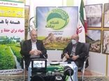 نهالکاری ۱۳۰۰ هکتاراز اراضی ملی در شهرستانهای مرزی استان ایلام