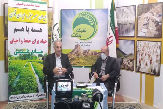 نهالکاری ۱۳۰۰ هکتاراز اراضی ملی در شهرستانهای مرزی استان ایلام