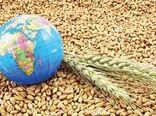 ادامه کاهش قیمت گندم در بازارهای جهانی