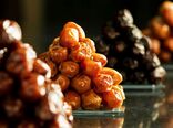 بیش از ۴۰۰ ژنوتیپ خرما؛ پشتوانه ژنتیکی ایران برای مقابله با تغییر اقلیم