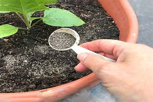 تدوین بیش از 50 عنوان دستورالعمل کاربردی مصرف کود