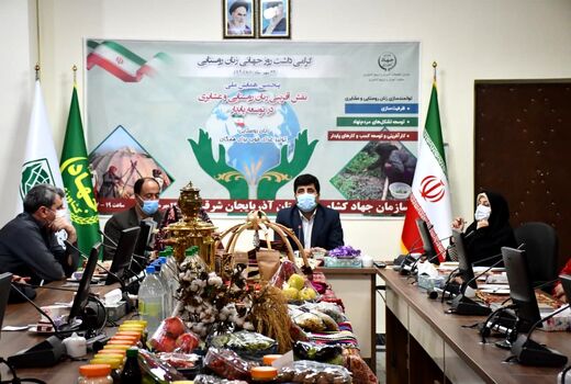 محول کردن فعالیتها به زنان تا 20 درصد باعث افزایش بهره وری می شود
