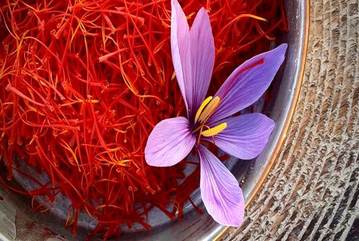 تولید 400 کیلوگرم زعفران در نی ریز