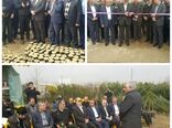 افتتاح مجتمع گل و گیاهان زینتی در رودسر