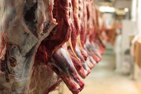عرضه گوشت قرمز در کشتارگاه‌های رسمی کشور در مهر ۱۴۰۰ به ۵۳ هزار تن رسید