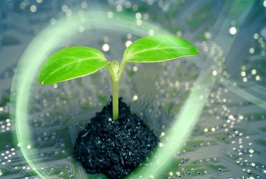 کسب کار های خانگی اهرم کار آفرینی یک سرزمین 