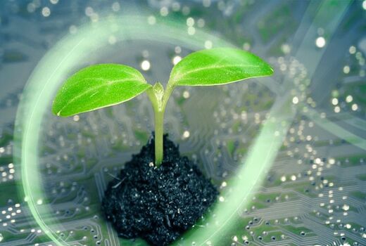کسب کار های خانگی اهرم کار آفرینی یک سرزمین 