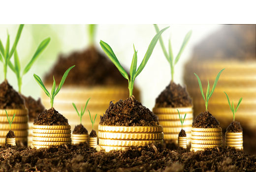 پرداخت بیش از ۲۸ میلیارد ریال تسهیلات به کشاورزان فسا