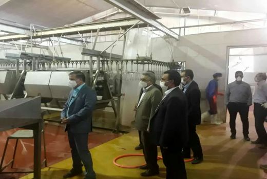 بازدید رییس سازمان جهادکشاورزی خراسان شمالی از طرح های شهرستان شیروان