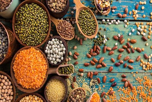 پیش بینی معرفی 12 رقم جدید دیم در سال  99 / کشت های پاییزه در اراضی دیم عملکرد تولید را افزایش می‌دهند