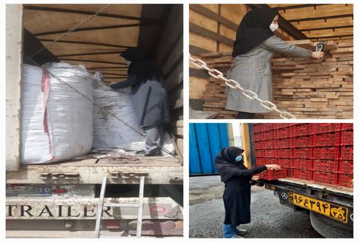 اعمال مقررات قرنطینه نباتی بر روی بیش از  ۱۷۱هزار تن انواع محصولات کشاورزی در جلفا