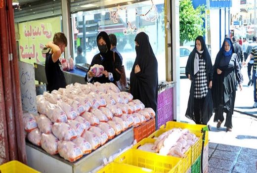 کاهش جوجه‌ریزی‌ شهریور و مهرِ مرغداری‌‌ها آذرماه جبران شد 