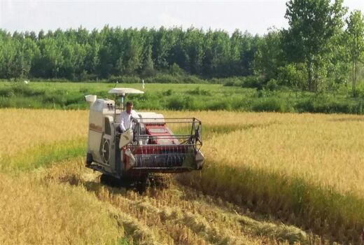 اعطای تسهیلات ۳۲ میلیارد ریالی به بخش مکانیزاسیون ماسال