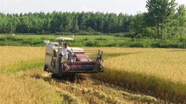 اعطای تسهیلات ۳۲ میلیارد ریالی به بخش مکانیزاسیون ماسال