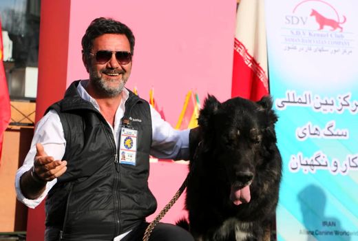 نژاد اصیل سگ ایرانی به رسمیت شناخته شد