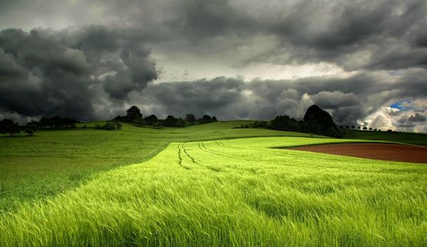 کشاورزان اطلاعیه‌های پیش آگاهی را جدی بگیرند