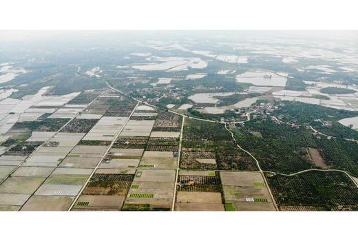 شناسایی 70 هزار متر مربع اراضی بایر در آمل