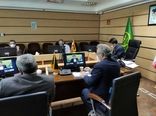 طی سال ۹۸، بر اساس برنامه ۳ ساله توفیقات خوبی در عرصه کشاورزی کرمانشاه رقم خورد