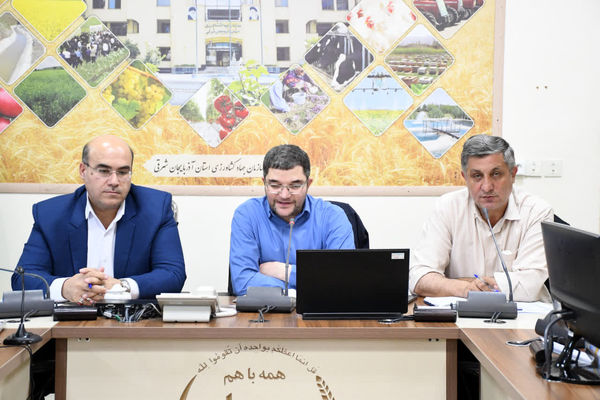 خدمات حمایتی دولت مشروط به رعایت الگوی کشت/ نقش اصناف در ساماندهی نهاده‌ها و زنجیره تولید پررنگ‌تر می‌شود