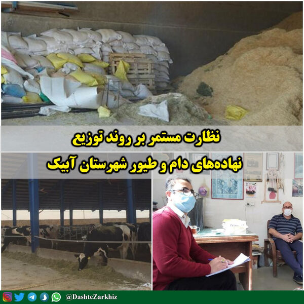 نظارت مستمر بر روند توزیع نهاده‌های دام و طیور در شهرستان آبیک